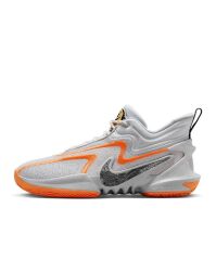 Nike Cosmic Unity 2 Basketbol Ayakabısı DH1537-004