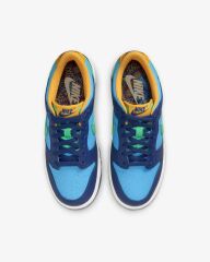 Nike Dunk Low Spor Ayakkabı DV1693-401