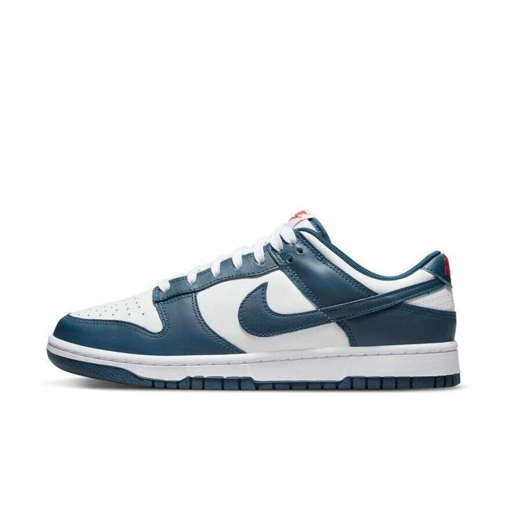 Nike Dunk Low Retro Erkek Sneaker Ayakkabı DD1391-400