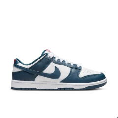 Nike Dunk Low Retro Erkek Sneaker Ayakkabı DD1391-400