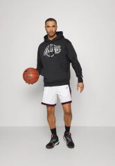 Nike Los Angeles Lakers NBA Fleece Pullover Hoodie Erkek Sweatshirt-DH9305-010