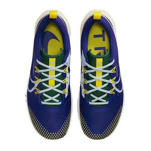  Nike React Pegasus Trail 4 Arazi Tipi Erkek Koşu Ayakkabısı-DJ6158-400